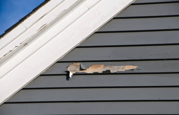 Best Attic Cleanout  in Reidland, KY